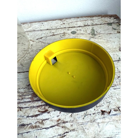 Acrylic Display Dome Case Cloche Globe Gift Decorative Protection DIY Vintage - Picture 4 of 6